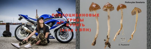 стаф Алексин