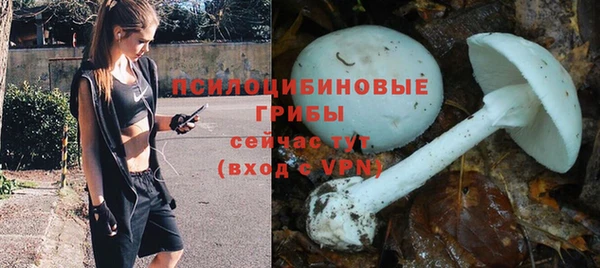 кристаллы Алексеевка