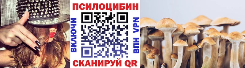 Псилоцибиновые грибы MAGIC MUSHROOMS  Краснообск 
